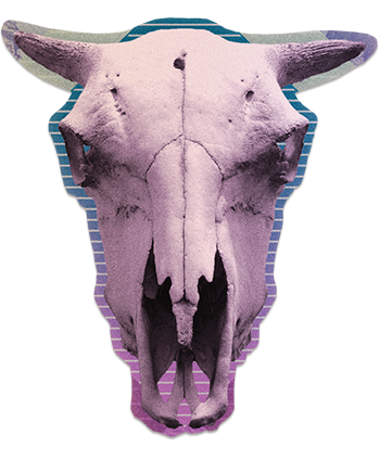 skull